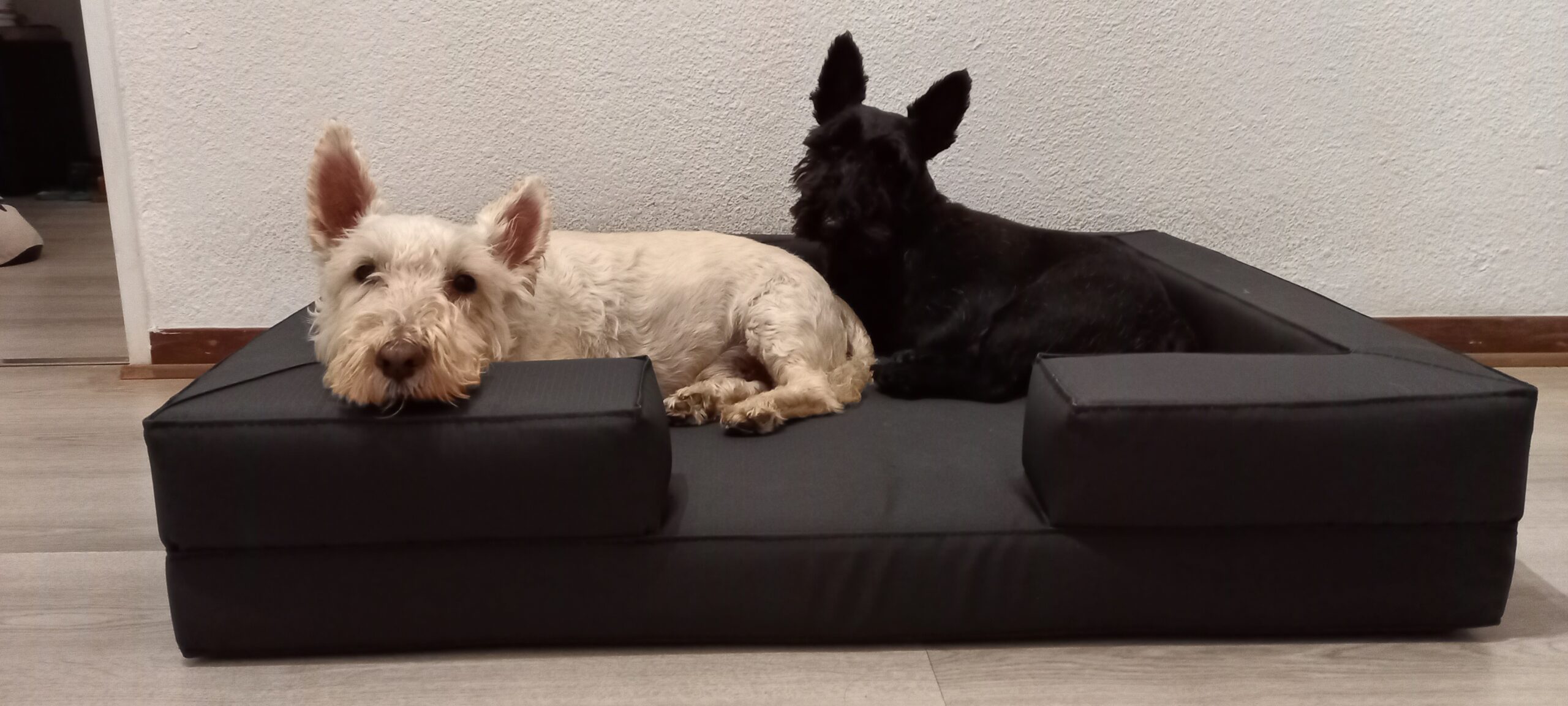 Comfortable Small Dog Mattress | The Bakkie Mattress