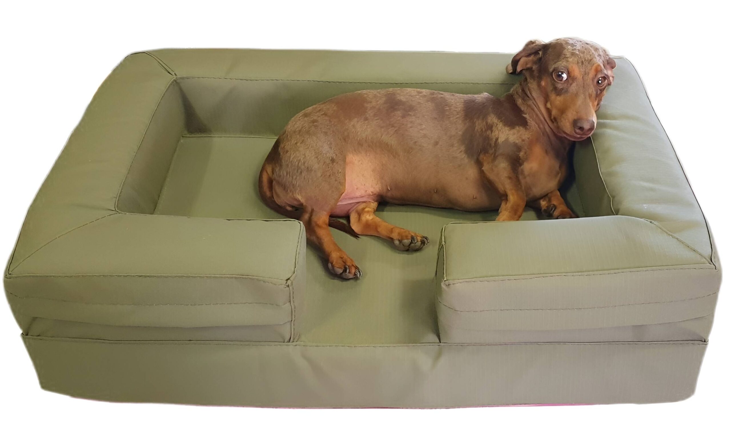 Small dog couch 4 sides olive green