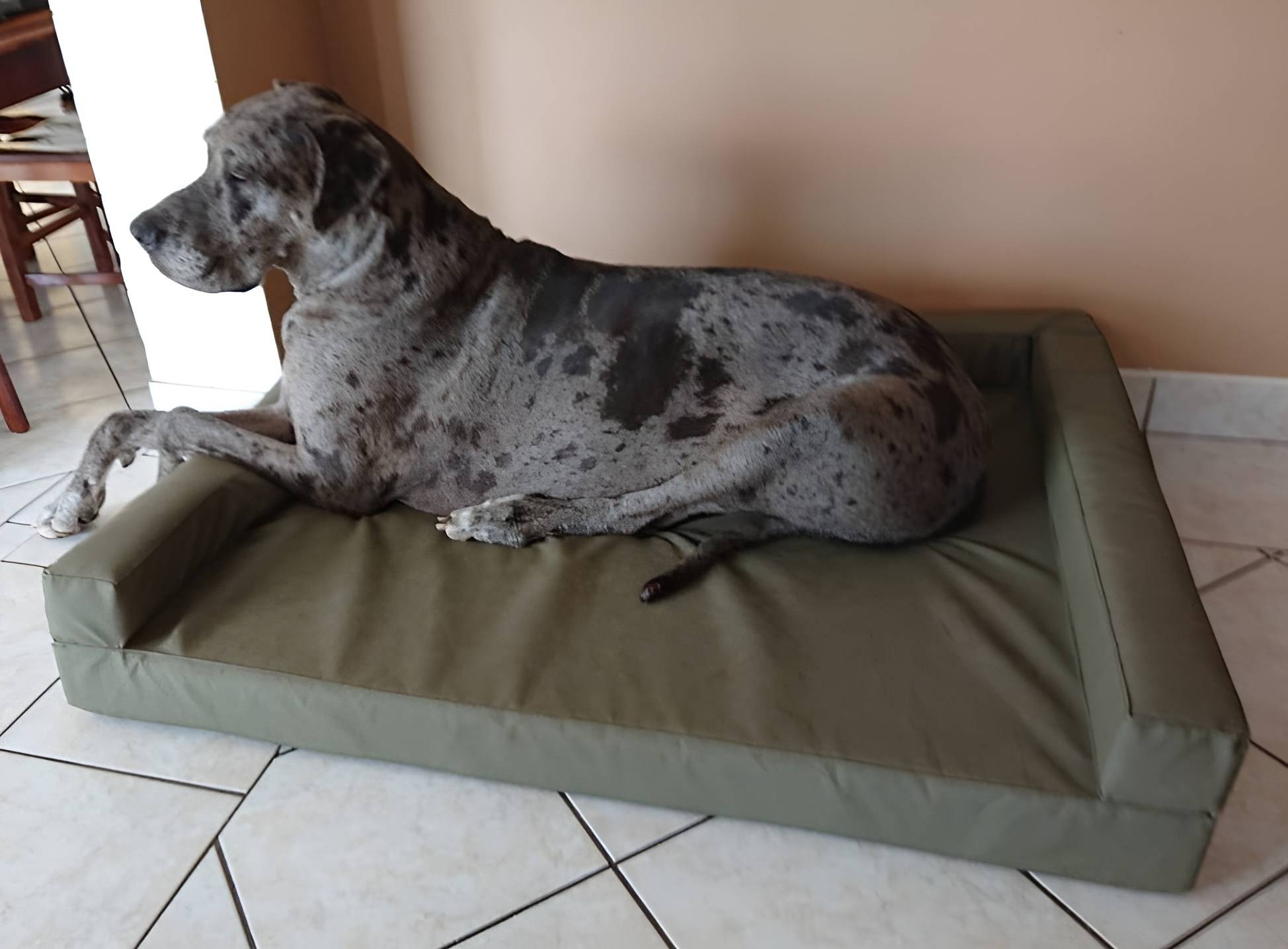 Large Dog Mattress | The Bakkie Mattress